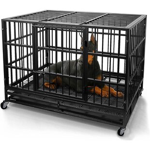 Central metal 2024 dog crates